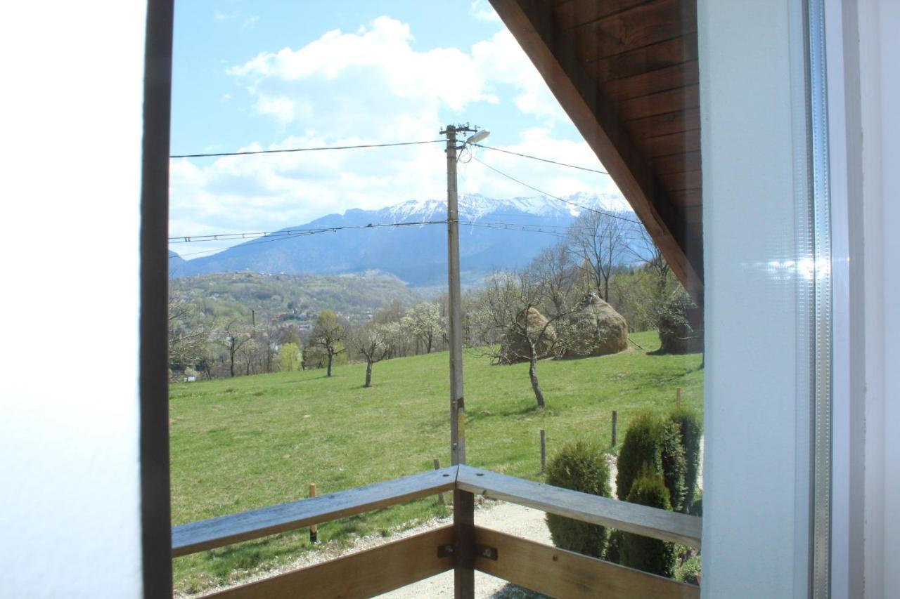 Casa Veverita Predelut Esterno foto